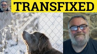 🔵 Transfix Meaning  Transfixed Examples  Transfix Defined  Formal Vocabulary [upl. by Ridglea]