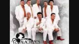 Alacranes Musical Solo en ti [upl. by Roslyn]