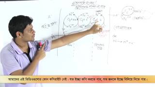 03 Active Transport Processes of Salt Absorption Part 01  লবণ পরিশোষণের সক্রিয় মতবাদ পর্ব ০১ [upl. by Cale857]