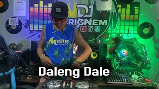 Daleng Dale Budots Remix  Dj Ericnem [upl. by Eneliak166]