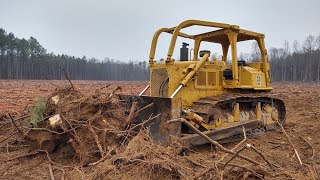 Busting Stumps With The Cat D6 Dozer [upl. by Narod803]