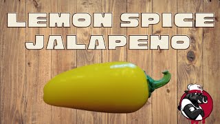 Lemon Spice Jalapeno from Jamie Cerasoli [upl. by Nigel]