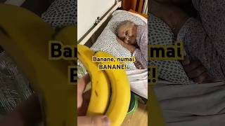 O ia razna când vede banane 🤷‍♂️😂🤦‍♂️🤣  Short 708 funny comedy viralvideo foryou trending [upl. by Jolda]