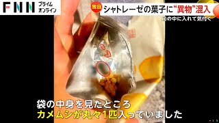 【独自】口から虫の足が…揚げ餅にカメムシ1匹混入か？シャトレーゼ「防虫対策の徹底を図る」パッキング工程で混入と推測 [upl. by Stanfill]