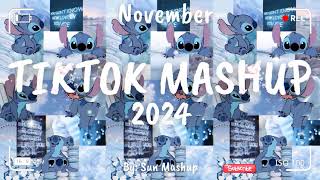 Tiktok Mashup November 💙2024💙 Not Clean [upl. by Ijneb]