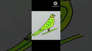 Parrot drawing tutorial drawing drawingtutorials easydrawing [upl. by Ayaj]