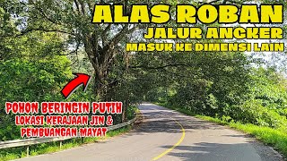 ALAS ROBAN jalur Angker masuk ke dimensi lain [upl. by Marianna]