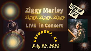 ZIGGY Marley LIVE in Concert Full Show KC July 22 2023 Part 3 Concert Series [upl. by Lehman539]