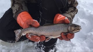 Ice Fishing for BIG Brook Trout [upl. by Tnomed156]