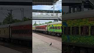 12860 Howrah CSMT Gitanjali Express train indianrailways youtubeshorts trendingshorts shorts [upl. by Inalem]