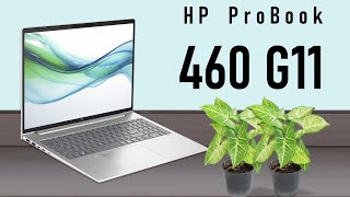 HP ProBook 460 G11 NoteBook new laptop 2024 Full Review [upl. by Benco]