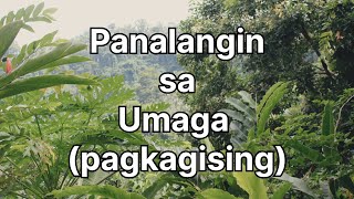 Panalangin sa Umaga pagkagising ngayon tagalog [upl. by Leifer]