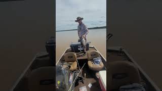 A nice limit of bluecats off keystone lake Deepest bite was 2 feet of water fishing catfish [upl. by Yrehc]