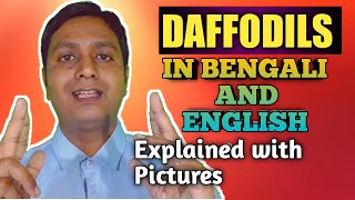 Daffodils by William Wordsworth  Explained in Bengali and EnglishRecitation  SCERT NCERT ICSE [upl. by Lesab]