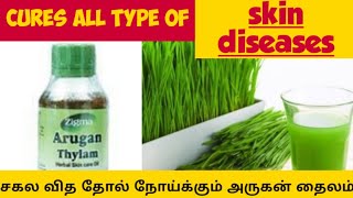 Arugan thailam benefits  தோல் வியாதி aruganoil remedyforskindisease siddhamaruthuvakurippugal [upl. by Audette989]