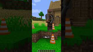 How I Accidentally Destroyed my Friends Minecraft World [upl. by Nylynnej]