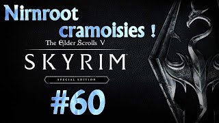 Ep 60  Nirnroot Cramoisies  Skyrim Special Edition Sur Partie De Plaisir [upl. by Shem]