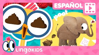 ¿Qué es el ESTIÉRCOL 💩🌱 Dibujos Educativos  Lingokids en español [upl. by Adniram]