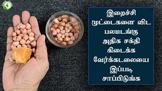 தினமும் கைப்பிடி வேர்க்கடலையை இப்படி சாப்பிட்டால் பலமடங்கு சக்தி கிடைக்கும் verkadalai benefits [upl. by Pet]