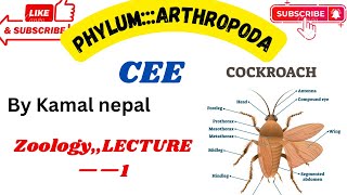 Phylum Arthropodalecture1cee best teacher with best notes and instructions [upl. by Eduard416]