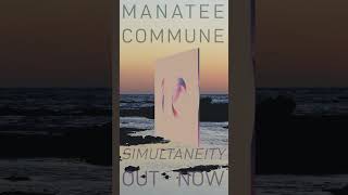 SIMULTANEITY electronicmusic [upl. by Eidac]