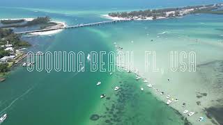 Longboat Key Coquina Beach Florida April 2023 Sarasota Bradenton USA [upl. by Enael]