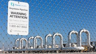 Alberta still pushing for Keystone XL pipeline after US stoppage [upl. by Lenoel]