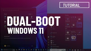 Dualboot Windows 10 and 11 Ultimate tutorial [upl. by Stover108]