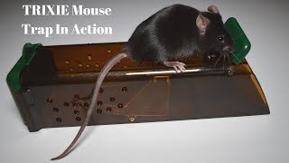 TRIXIE Mouse Trap In Action A German Live Catch Mouse Trap [upl. by Ennayoj]