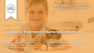 Antibiotic Treatment of Bartonella Infections [upl. by Kciregor645]