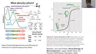 Chapter 6 DNA denaturation [upl. by Eocsor487]