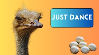 How Do Ostriches Reproduce [upl. by Mandal]