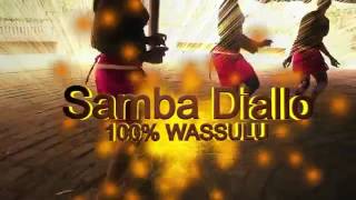 Samba Diallo100 Wassoulloun [upl. by Marguerita]