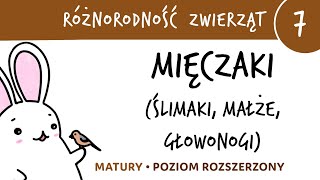 Różnorodność zwierząt 7  Mięczaki ślimaki małże głowonogi  matura z biologii rozszerzona [upl. by Anaek]