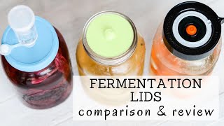 Fermentation Lids Reviews  Bumblebee Apothecary [upl. by Jamil]