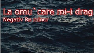 NEGATIV cover Plaiesii La omu care mi i drag re minor [upl. by Ymarej204]