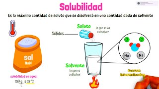 ¿Qué es la Solubilidad [upl. by Nibor999]