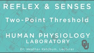 TwoPoint Threshold for Students  Reflex amp Senses  Human Physiology  Dr Ketchum  OU [upl. by Auqinu584]