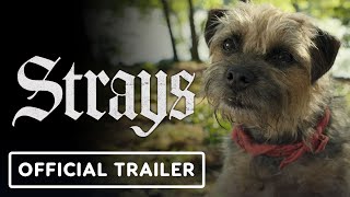 Strays  Official Red Band Trailer 2 2023 Will Ferrell Jamie Fox Randall Park [upl. by Enirhtak]