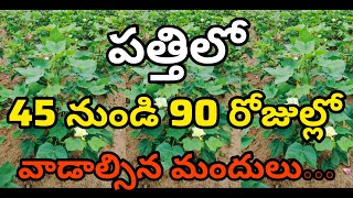 Pest management in Cotton during the first 45 to 90 days  పత్తిలో 4590 రోజుల్లో వాడాల్సిన మందులు [upl. by Coltun]