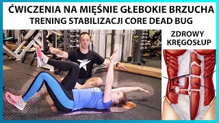 Jak ćwiczyć mięśnie głębokie brzucha Trening stabilizacji kręgosłupa mięsień poprzeczny DEAD BUG [upl. by Valina249]