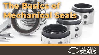 The Basics of Mechanical Seals [upl. by Ciardap520]