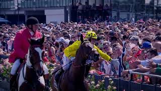 2024 Melbourne Cup Preview Show [upl. by Barram]