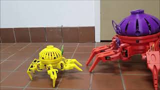 Max The Megapod Playing With Vorpal The Hexapod [upl. by Marius]