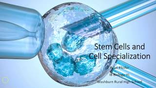 Stem Cells and Cell Specialization [upl. by Home699]