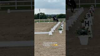 Winning regional championship ride dressage dancing horse horserider [upl. by Nimaj99]