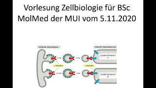 Vorlesung olMed BSC 1 Semester 2020 an der MUI [upl. by Nylirem]