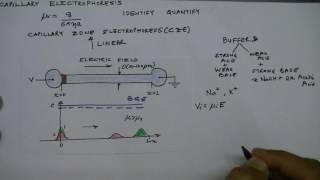 Lecture 29 Capillary Electrophoresis Introduction [upl. by Anahcra]