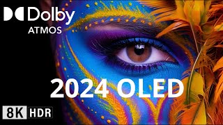 Oled Demo 2024 8K HDR 120FPS Demo OLED SONY Dolby AtmosVision [upl. by Nemraciram]