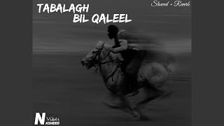 Tabalagh Bil Qaleel Slowed  Reverb [upl. by Annerahs]